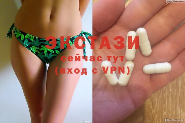 гидра Богданович