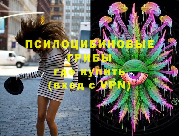 прущая мука Богородск