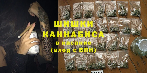 гидра Богданович
