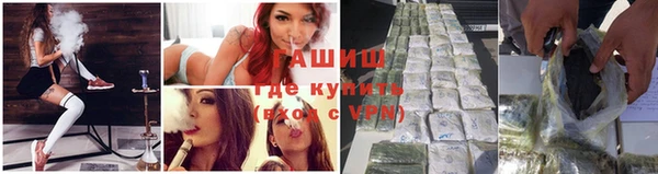 гидра Богданович