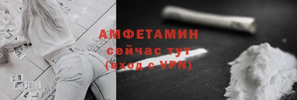 гидра Богданович