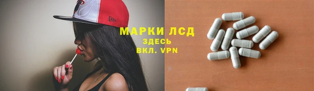 гидра Богданович