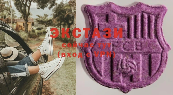 гидра Богданович
