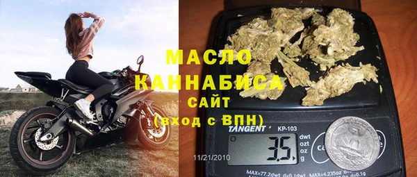 гидра Богданович