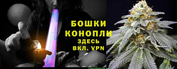 гидра Богданович