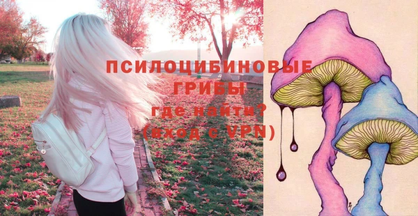гидра Богданович