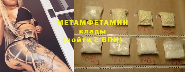 гидра Богданович